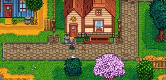 星露谷物语山姆滑板剧情怎么选择2