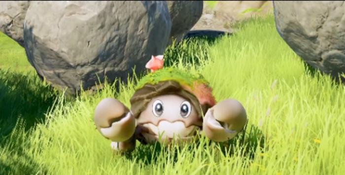 伊莫花芽蟹怎么抓4