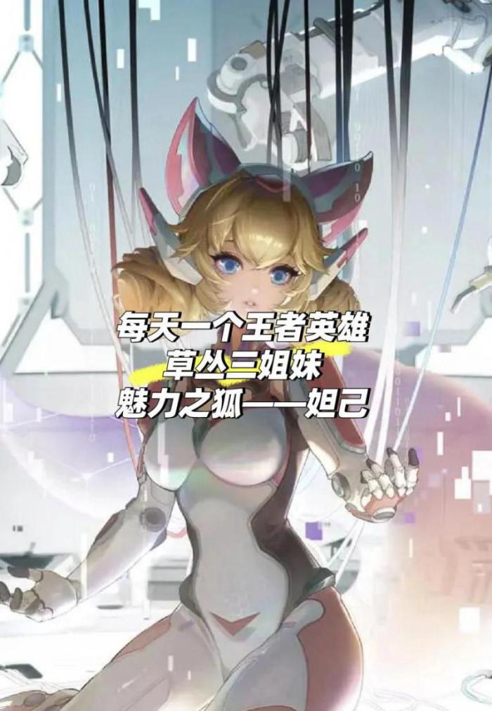 非人学园哪个英雄像妲己2