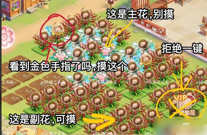 我的花园世界花灵怎么弄1