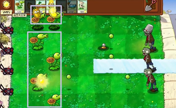 《植物大战僵尸杂交版》冒险模式全关卡通关攻略大全7