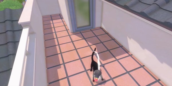 《小猫咪大城市》帽子获得攻略大全5