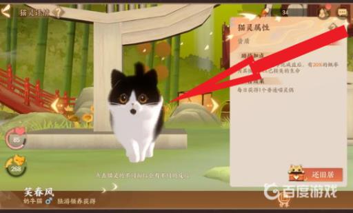 忘川风华录七种猫哪个好?4