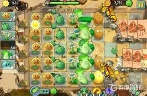 植物大战僵尸2玉米投手和卷心菜投手的伤害谁高?2