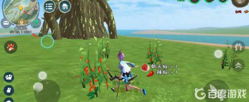 创造与魔法红马饲料辣椒在哪?4