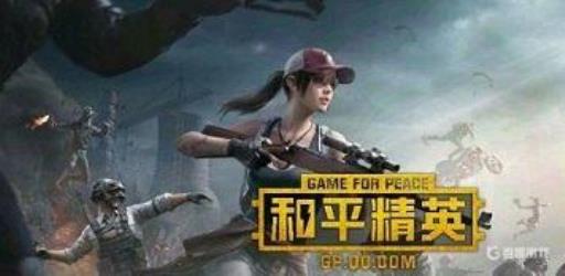 和平精英火狐专家稀有吗?3