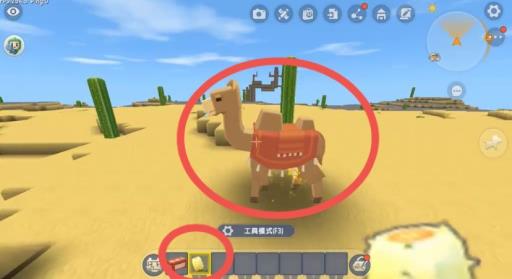 迷你世界里的骆驼吃什么?4