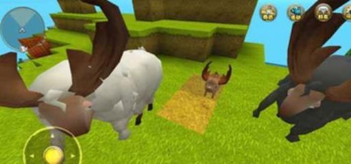 迷你世界冰原牦牛怎么驯服?3