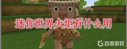 火炬有什么作用_火炬用的是什么燃料