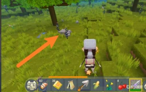 迷你世界雪兔怎么驯服?_迷你世界兔子怎么驯服