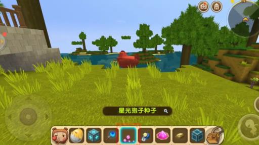 迷你世界的小鸡怎么进?_迷你世界里的小鸡吃什么东西