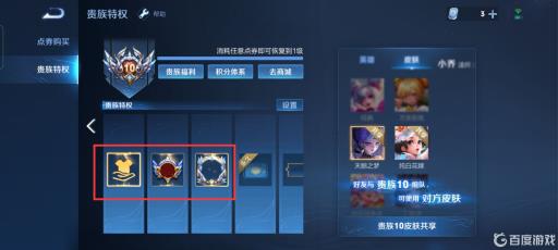 王者的贵族有什么用?13