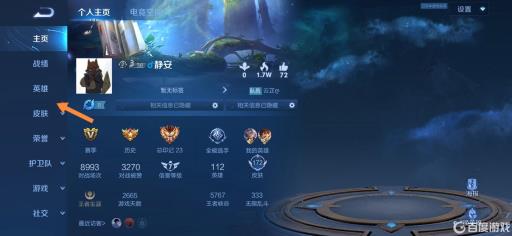 王者荣耀怎么看战力值打没打满?3