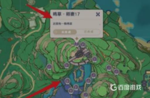 原神鸣草在哪采集?3