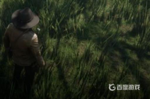 荒野大镖客2怎么喂马?2