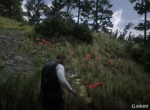 荒野大镖客2传说麋鹿为什么找不到线索?4