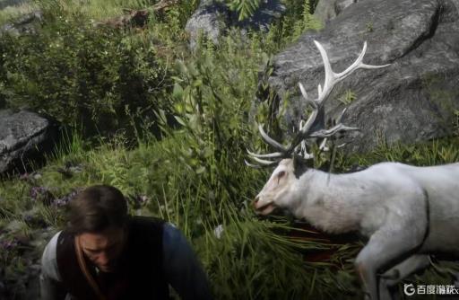 荒野大镖客2传说麋鹿为什么找不到线索?5