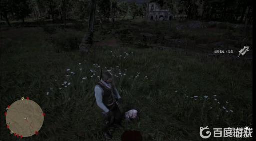 大表哥2浣熊皮去哪里找?5