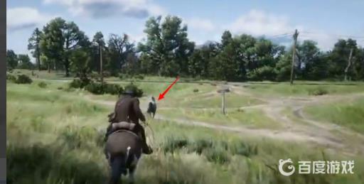 荒野大镖客2怎么驯马?4