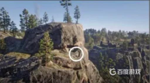 荒野大镖客2雕在哪里?2