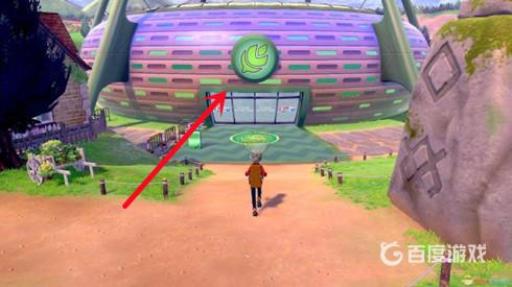 宝可梦无极汰那有必要刷性格吗?3