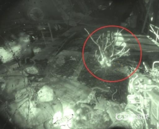 如何完成章节-伏尔加河12