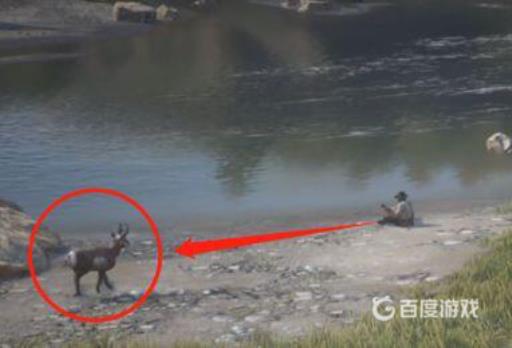 荒野大镖客怎么弹吉他?5