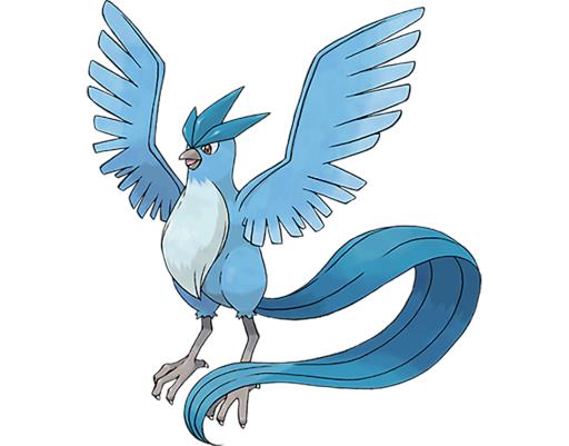 剑盾急冻鸟出现位置在哪?_宝可梦剑盾急冻鸟刷新点