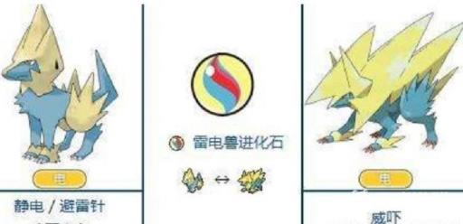 神奇宝贝雨天队怎么搭配?5