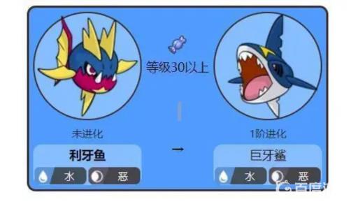宝可梦剑盾利牙鱼多少级进化?2