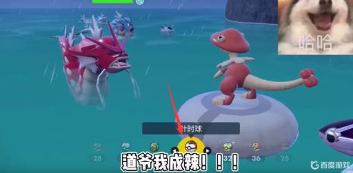 宝可梦剑盾怎么抓红暴鲤龙的?3