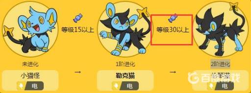 宝可梦勒克猫几级进化?2