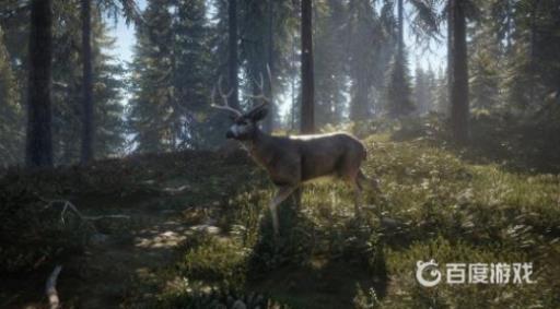 荒野的召唤子弹在哪补?1