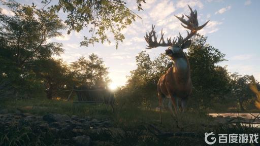 荒野的召唤手机怎么打开?1