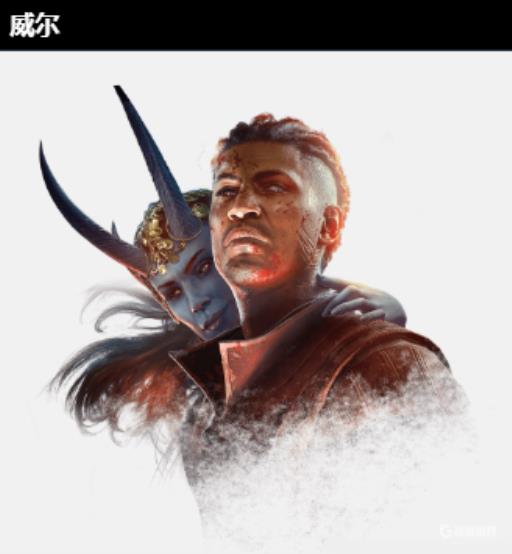 博德之门3选威尔还是盖尔?1