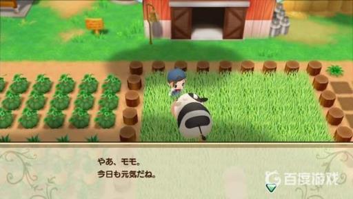 如何制作荞麦面1