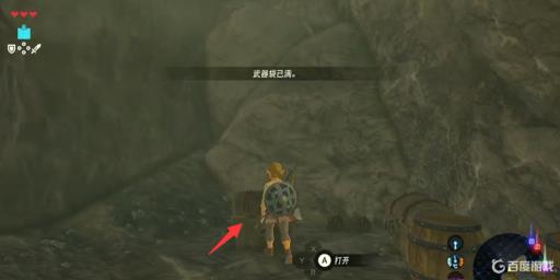 塞尔达宝藏大盗的位置在哪里?10