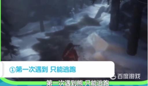 古墓丽影怎么打败熊?2