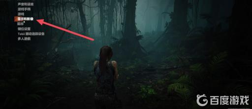 古墓丽影暗影画质怎么设置?3