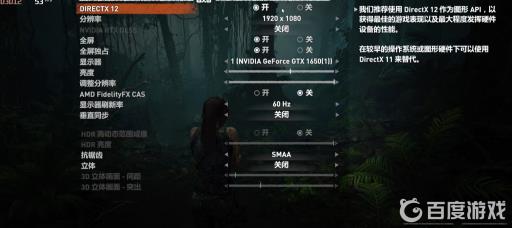 古墓丽影暗影画质怎么设置?4