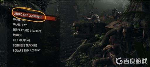 古墓丽影暗影中文如何设置?4