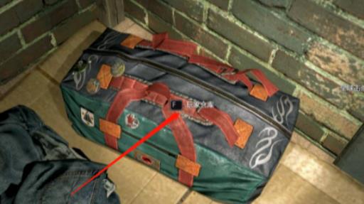 消逝的光芒子弹不能放仓库嘛?_消逝的光芒子弹不能放仓库嘛知乎