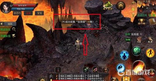 觅长生血菩提在哪?2