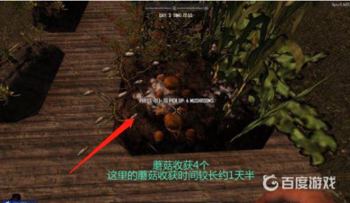 七日杀蘑菇在哪里?2