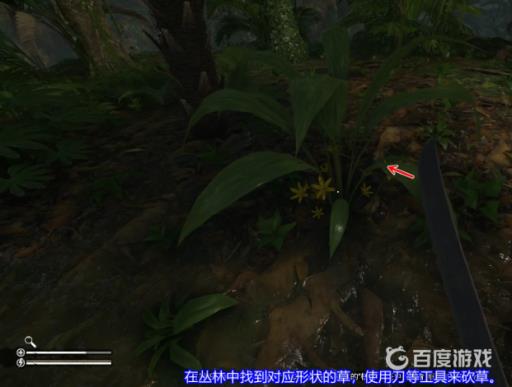 丛林地狱船子草叶在哪里?3