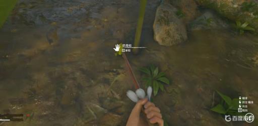 绿色地狱箭毒蛙怎么提取毒液?_绿色地狱箭毒蛙有什么用