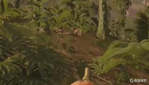 绿色地狱怎么养动物?6