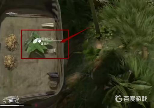 丛林地狱蛇毒怎么解?5