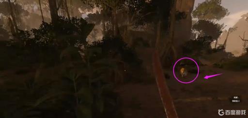 绿色地狱美洲豹怎么打?_绿色地狱被豹子咬伤