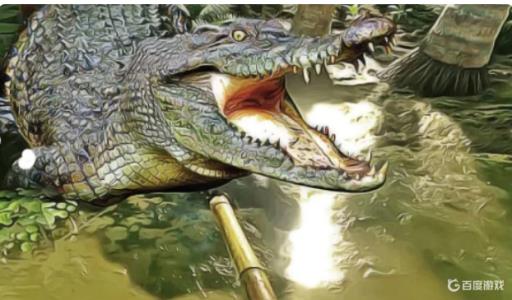 丛林地狱被鳄鱼咬了怎么办?_丛林地狱被老虎抓伤怎么办